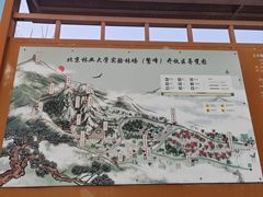 -北京鹫峰国家森林公园