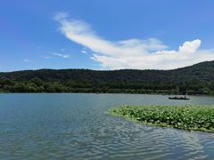 -西湖外事游船(花港观鱼码头)