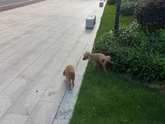 -碧桂园十里银滩