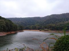 -桃花岭景区