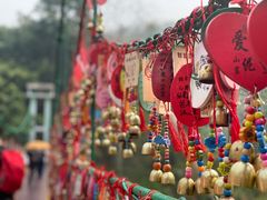 -西双版纳原始森林公园