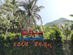 -海南铜鼓岭景区