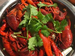 盐水龙虾-袁老大龙虾(石鼓路总店)