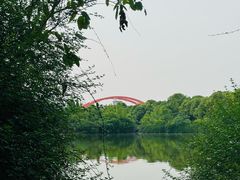 -成都南湖公园