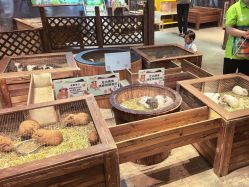 -酷嗒动物文化乐园(cutezoo西溪乐天城店)