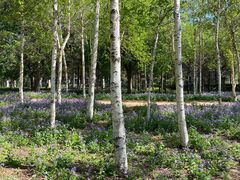 -长春市南湖公园