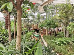 -南宫五洲植物乐园