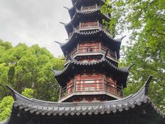 -上海佘山国家森林公园西佘山园