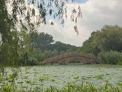 -渤公岛生态公园