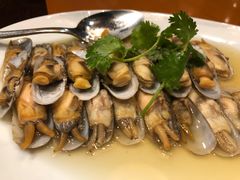 -宁波柏悦酒店·钱湖渔港