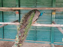 -羊亭河湿地公园