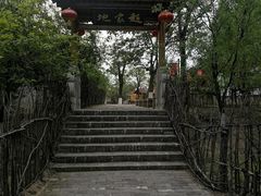 -大槐树寻根祭祖园