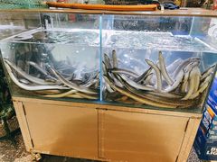 -本炙炭烤·蒲烧活鳗料理店(金沙洲店)