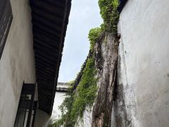 -乌镇东栅景区