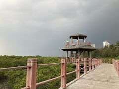 -北海金海湾红树林生态旅游区