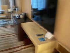 -电谷雅阁国际大酒店