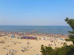 -大丰收海鲜酒楼·专业餐饮30年(连云港老字号店)