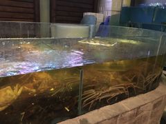 -蟹之国·精品蟹料理(极地店)