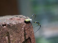 -溪口-滕头旅游景区