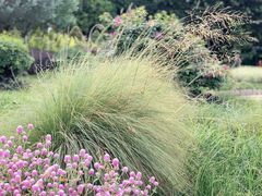 -文华公园(禅城区)