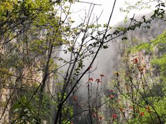 -武隆天坑地缝国家地质公园