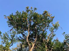 -上海市保健医疗中心