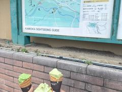 -岚山嵯峨野观光小火车