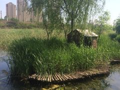 -前关湿地公园