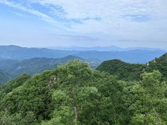 -栾川竹海野生动物园
