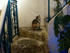 android_upload_pic-Sirena海妖日咖夜酒