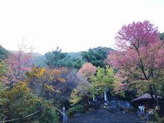-苍山感通索道