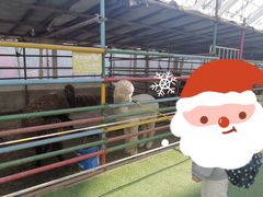 -南宫五洲植物乐园