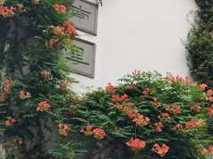 -南京市民俗博物馆(甘熙故居)
