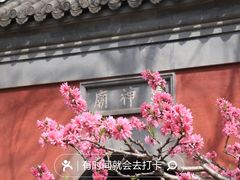 -颐和园