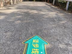 -龙寺生态园