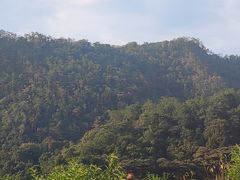 -广州市石门国家森林公园