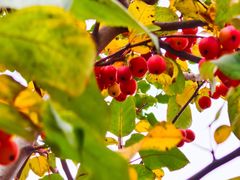 -浙江大学(紫金港校区)