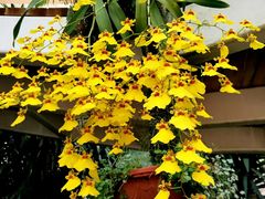 -猫记风味小吃店(永和里店)