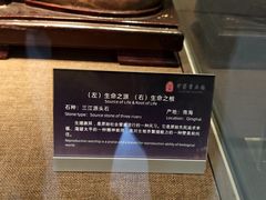 -中华赏石园