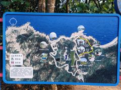 -广东惠东海龟国家级自然保护区