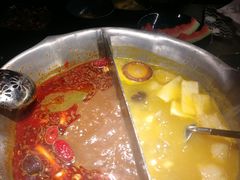 台式麻辣花胶鸡鸳鸯锅-湊湊火锅·茶憩(世博大道店)