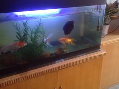 -帝贵堂推拿·足道·正骨养生馆