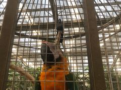 -南宫五洲植物乐园