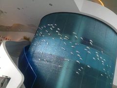 -深圳东部华侨城瀑布酒店
