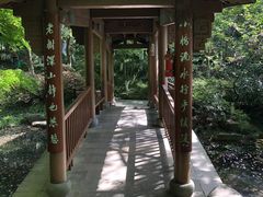 -杭州半山国家森林公园