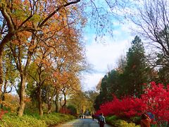 -东湖磨山景区