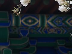 -真庆观