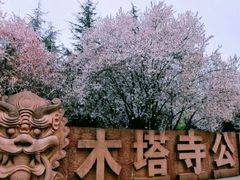 -木塔寺遗址生态公园