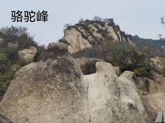 -大岭沟猕猴桃谷风景区