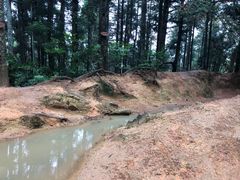 -井冈山风景名胜区-黄洋界